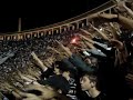 Gavi�es da Fiel