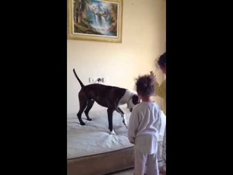 Play YouTube video
