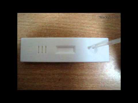 how to do i can pregnancy test