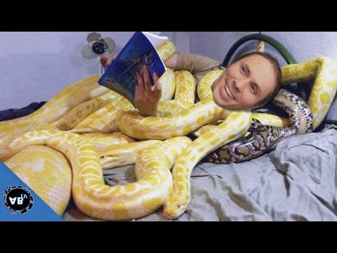YouTube reptile video