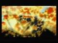 Naruto, Kiss and Control