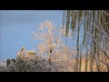 Vieugie sous la neige