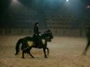 midieval times
