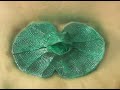 Mold Making, Casting: Painting Silicone Rubber - Smooth-On Mold Making, Casting: Painting Silicone Rubber - Smooth-On