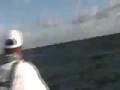 videos de advanced sailfishing