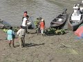 Amazon River