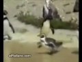 cuma işten eve pazartesi evden işe nasıl gidilir? http://www.youtube.com/watch?v=29TclJcFI-I