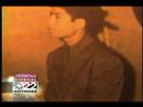 conteo informativo zoot suit i