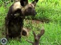 South Africa - Austin-Lehman Multisport Adventure Vacation