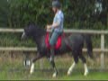 nebo ridden