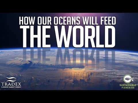 3MMI - How Much Food Can The Ocean Sustainably Provide By 2050?