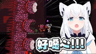 【Terraria】佩克醬有時候就是會這樣|【 hololive / 白上吹雪】 【Terraria】佩克醬有時候就是會這樣|【 hololive / 白上吹雪】