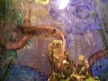 General Grievous Eats A Worm General Grievous Eats A Worm