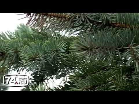 Смотреть
