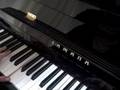 videos de hometownglory.wmv