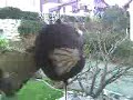 Video 040408 001