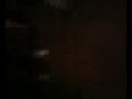 Video-0042.mpeg
