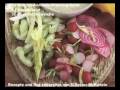 videos de Salat Salate Kochen mit SelMcKenzie Selzer-McKenzie