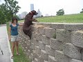Super Kenai