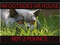 lolcat