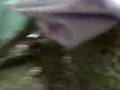 MCH y tugpahay!.3gp