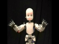 Introducing the Aberystwyth University iCub