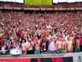 DFB Pokalfinale 2007