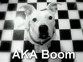 videos de AmericaFell - AKA Boom ©