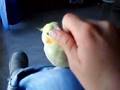 PIKY