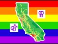 Gay Cat Marriage Is Legal!!! - UnificationNow