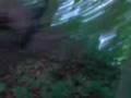 The Epic Crash