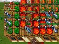 Tibia Zanera - Bobtoronja & Wilburn Owned\