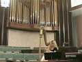 Sara Chasse Concert Harpist Weddings - Somewhere in Time