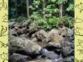 Hiking Deep into H?lawa Valley (Molokai, Hawaii) Hiking Deep into H?lawa Valley (Molokai, Hawaii)