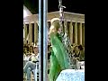 NERICO SHOW DALIDA