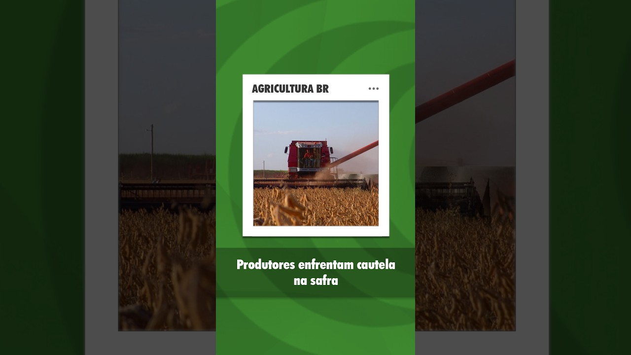 Milho e soja: safra exige cautela em Mato Grosso do Sul