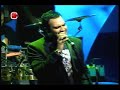 guaco   todo quedo quedo
