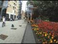 videos de damon tarty