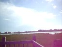 At the Marsh