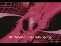 a track by bill whelan from the show 