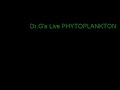 Live Phytoplankton by www.DrGsMarineAquaculture.com.AVI