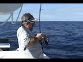 50+ POUND GIANT GREATER AMBERJACK (LOW-RES)