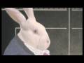 Rabbit Test Film.m4v