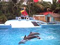 Show de Delfines