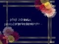 Majdalenka.wmv