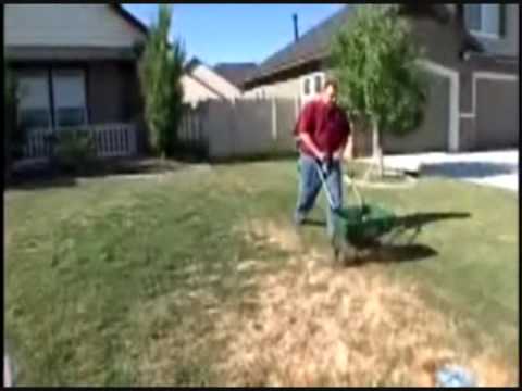 how to fertilize clay soil lawn