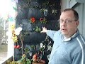 Making a vertical garden - Part 2