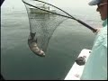 Jim Baugh Outdoors TV Suzuki Spadefish