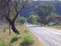 KILLAS RACING VS JETTA 1.8T EN COTIJA
