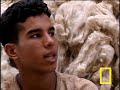Dangerous Job: Tanner